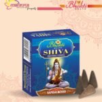 Shiva