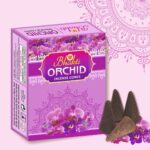 Orchid