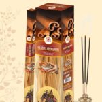 Sandal Cinnamon