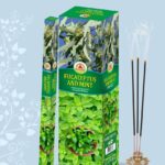 Eucalyptus And Mint