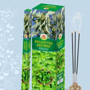 Eucalyptus And Mint