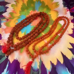 Rudraksh Malas